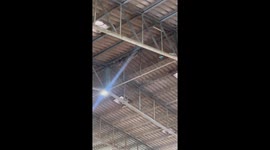 Shocked schoolchildren watch as huge python is caught on gym roof