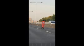 Traffic officers rescue injured stray dog trapped in Thai motorway