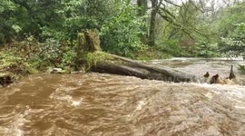 Flooded River & Fast Water After Storm Bert
