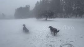 US: Winter Storm Brings Heavy Snow, Blizzard Warnings To Parts Of West Virginia