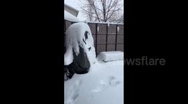 Canada: Major Snowfall Hits Much Of Central And Southern Alberta 2