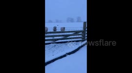 UK: Storm Bert Brings Heavy Snow To Large Parts Of Country