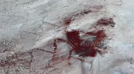 17 Palestinians killed by Israeli bombings in Gaza