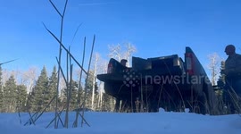 Five bear cubs released after being rehabilitated in Colorado