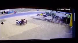 Locals scramble to steal fish from crashed truck instead of helping injured driver