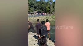Cruel locals pelt tiger with rocks leaving it blind and brain damaged