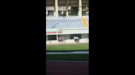 Board-shoe racing at sports event in China's Sanya