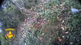 US: Durham Deputies Rescue Coyote with Jar Stuck on Head