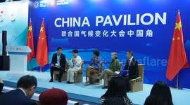 Azerbaijan: China's sustainable, green solutions grab attention at COP29