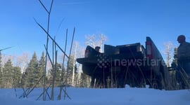 US: Five Bear Cubs Released into Wild After Summer at Colorado Rehabilitation Center