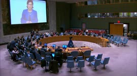 US: Chinese envoy urges Israel to cease attacks on Syria