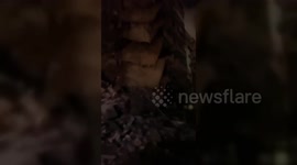 Lebanon: Significant Destruction in Beirut Following Israeli Airstrike