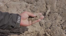 Smart agriculture helps revolutionize cotton farming in China's Xinjiang
