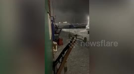 Family of polar bears appears in northern Siberian settlement looking for food