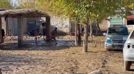 Flash floods cause severe property damage in north Afghanistan