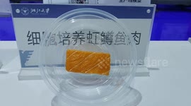China: Artificial Fish Meat
