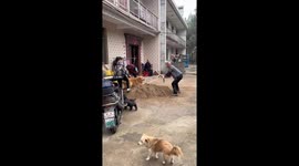 Dog's playful antics with sand in Anhui, China