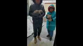 Father and son rescue puppies during snow storm in China