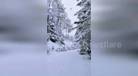 Türkiye: Turkey's Forests Turn Into Snowy Paradise in Stunning Video