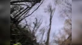 Italy: Man Pulled from 30-Meter Ravine