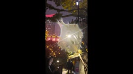 Mysterious microorganism spotted on a phone screen during rain in China