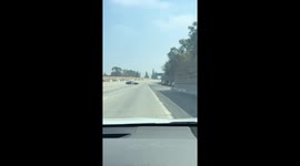 Dog rescued by highway patrol on California State Route 91