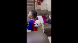 Clingy pet dog refuses to let go of toddler friend