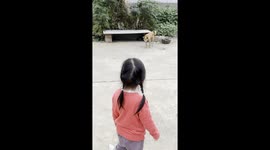 Pet dog jumps on command from little girl