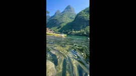 Underwater view of fish swimming