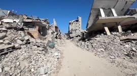Gaza Strip: Palestinian death toll from Israeli attacks in Gaza rises to 44,235