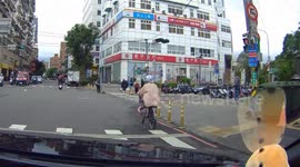 Pensioner walks pet tortoise across busy road