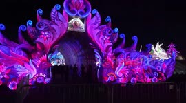 Magical forest lights festival held in Texas