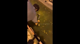 Person rescues fish trapped in plastic bag in Iraq