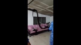 Gargantuan python crashes through family's ceiling in Malaysia