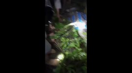 Farmer cut from belly of 23ft killer python in Indonesia