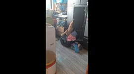 Cat removes clothes from cabinet in Medellín, Colombia