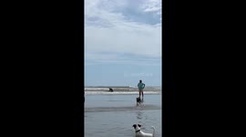 Boxer dog trips and gets an unexpected bath in Mar del Plata, Argentina