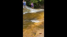 Snake encounter at Cachoeira Berro D'água causes swimmers to flee