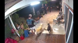 Person falls after losing balance in security camera footage