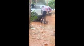 Kind resident rescues stray dog with head stuck in can