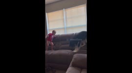 Toddler and husky jumping on the couch together in Johnson City, Tennessee, USA