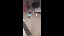 Child knocked down by dog while playing in Denver, Colorado