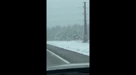 Michigan Prepares for Intense Lake-Effect Snowstorm This Thanksgiving Weekend