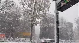 Heavy snow covers Seoul, South Korea