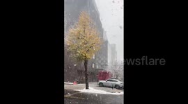 South Korea: Seoul Hit By Biggest November Snowstorm In 52 Years 3