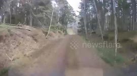 Wild mother bear attacks truck in forest in Japan
