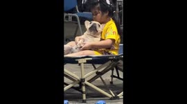Girl has tender moment hugging pet French bulldog