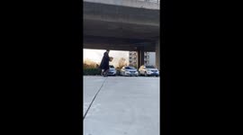Speedy cat runs in a funny way in Shandong, China