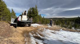 US: Rehabilitated Bear Cubs Released in Boulder County