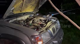 Huge cobra curled up in car engine caught by wildlife team